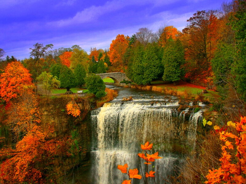 Waterfall with Autumn Trees — Orange