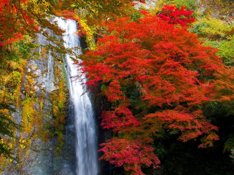 Waterfall with Autumn Trees — Red
