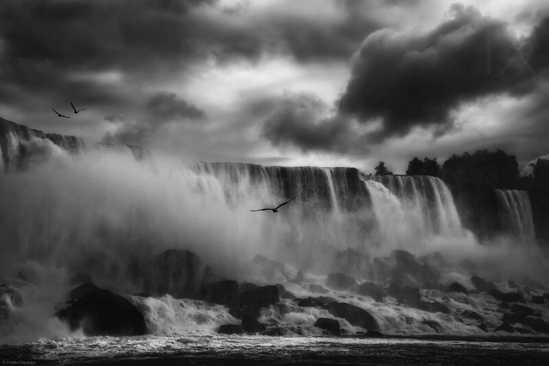 Waterfall with Birds — Black