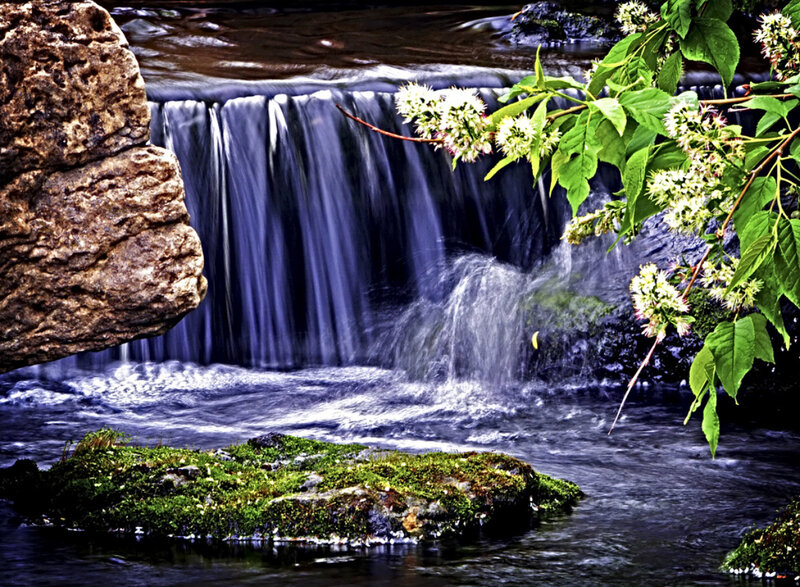 Waterfall with blooming branch