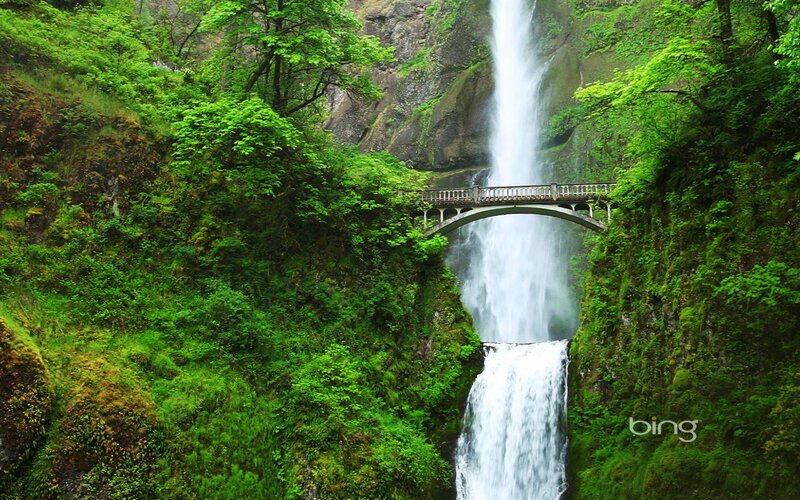 Waterfall with Bridge — Green, Serene, Afternoon, Photograph, Forest, Canyon
