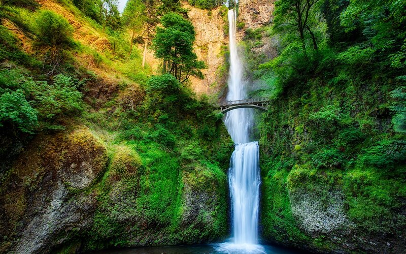 Waterfall with Bridge — Green, Serene, Afternoon, Photograph