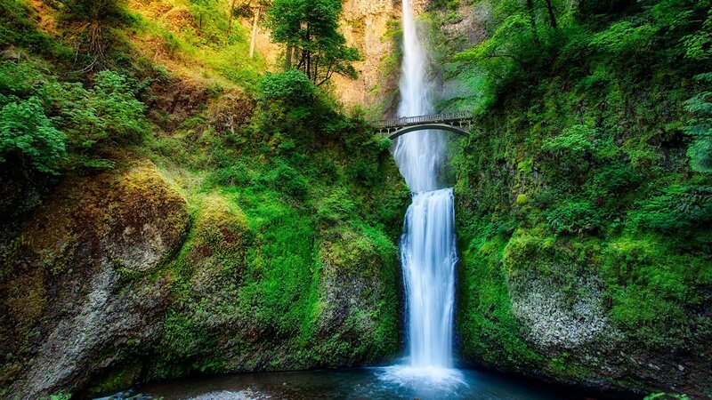 Waterfall with Bridge — Green, Serene, Afternoon, Photograph, Trees, River