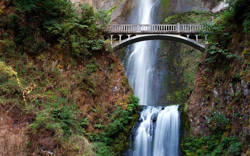 Waterfall with Bridge — Green, Serene, Photograph, Cliffs, Trees