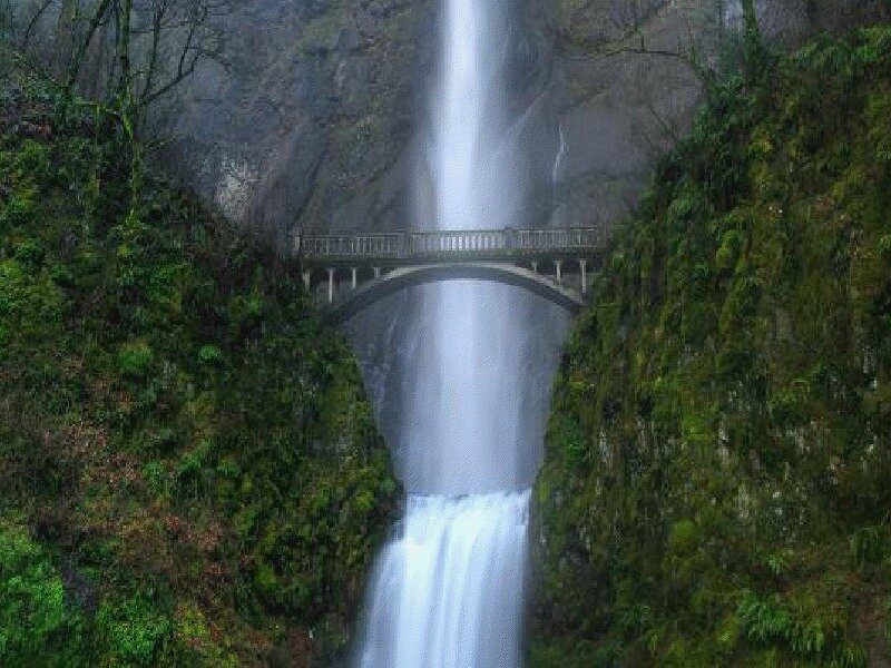 Waterfall with Bridge — Green, Serene, Photograph, Trees, Cliffs