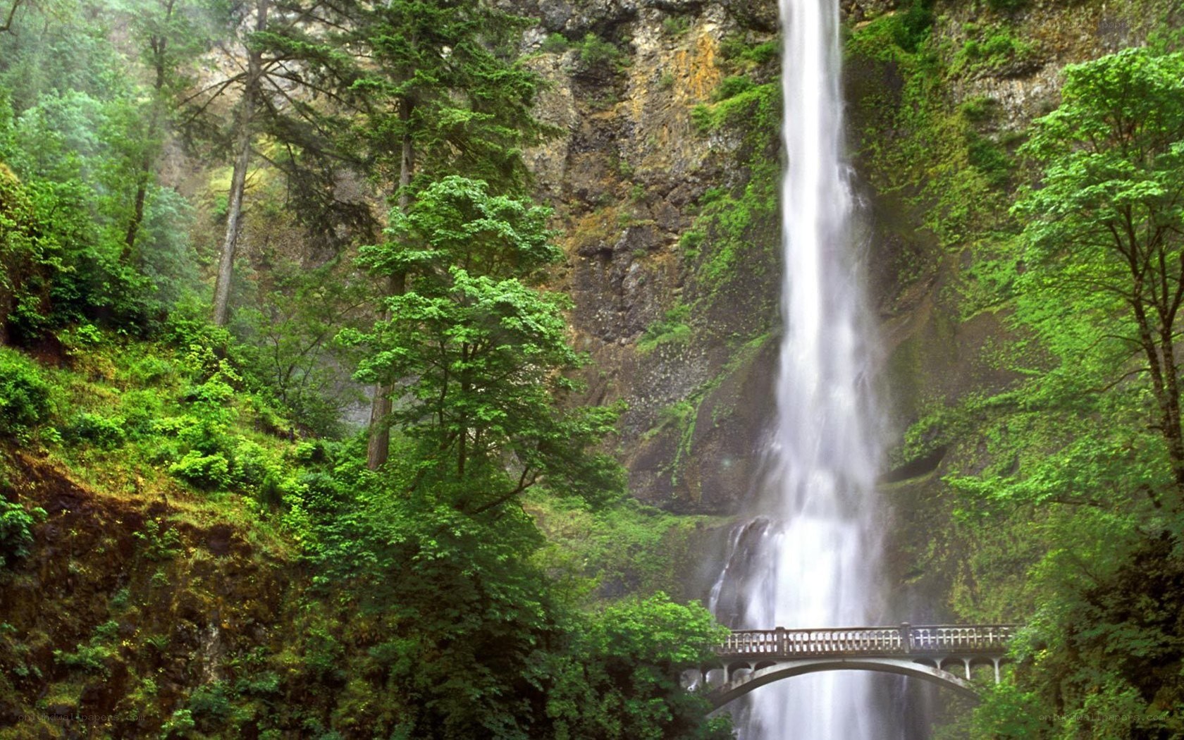 Waterfall with bridge in forest