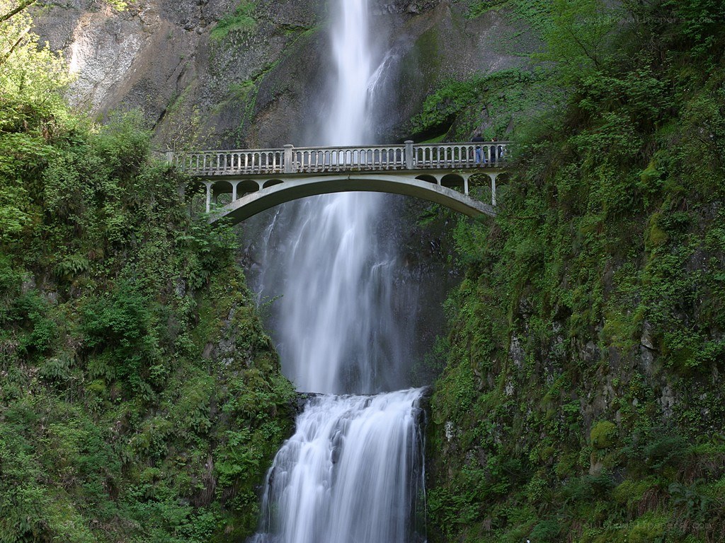 Waterfall with bridge in forest