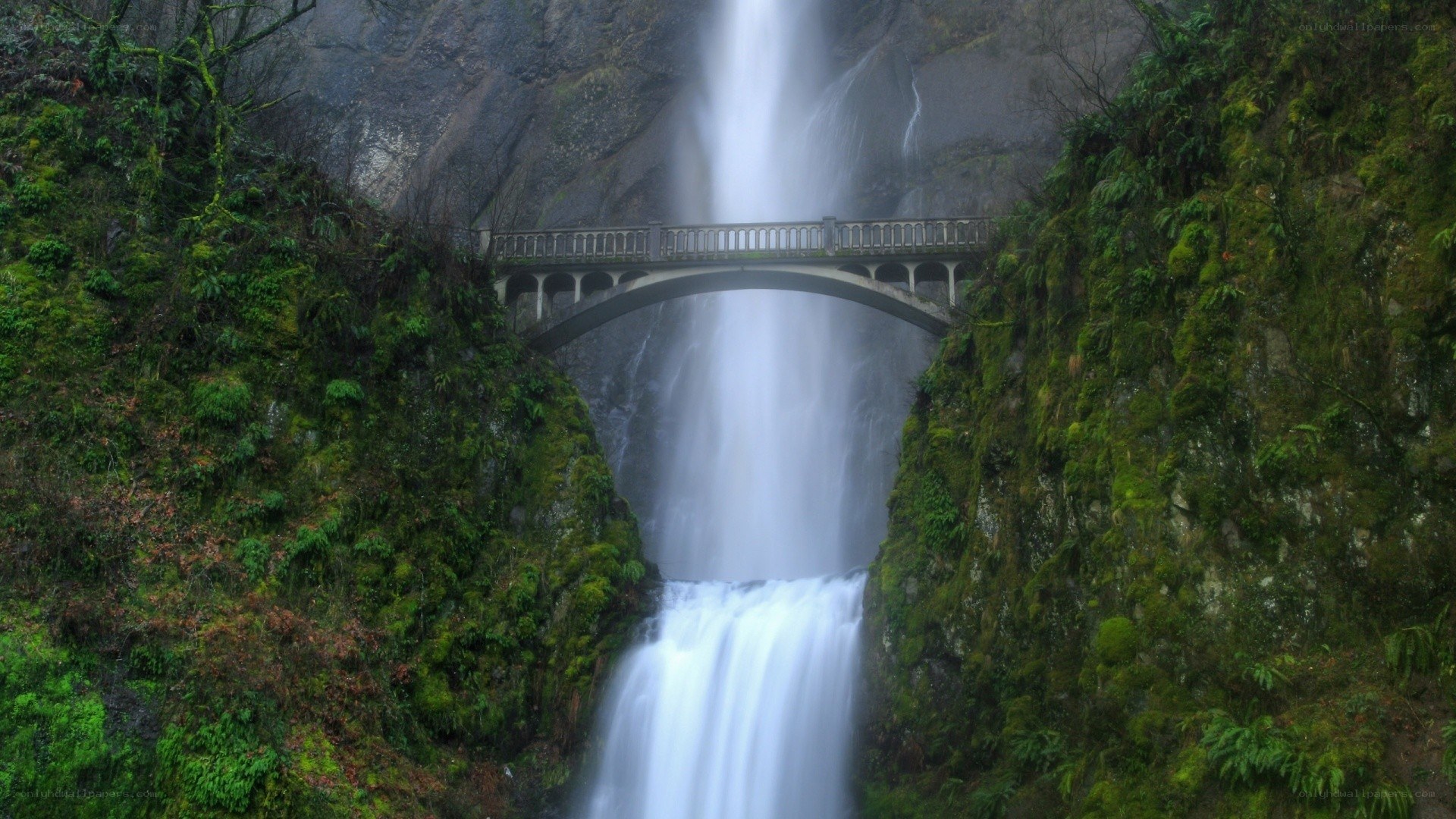 Waterfall with bridge in forest