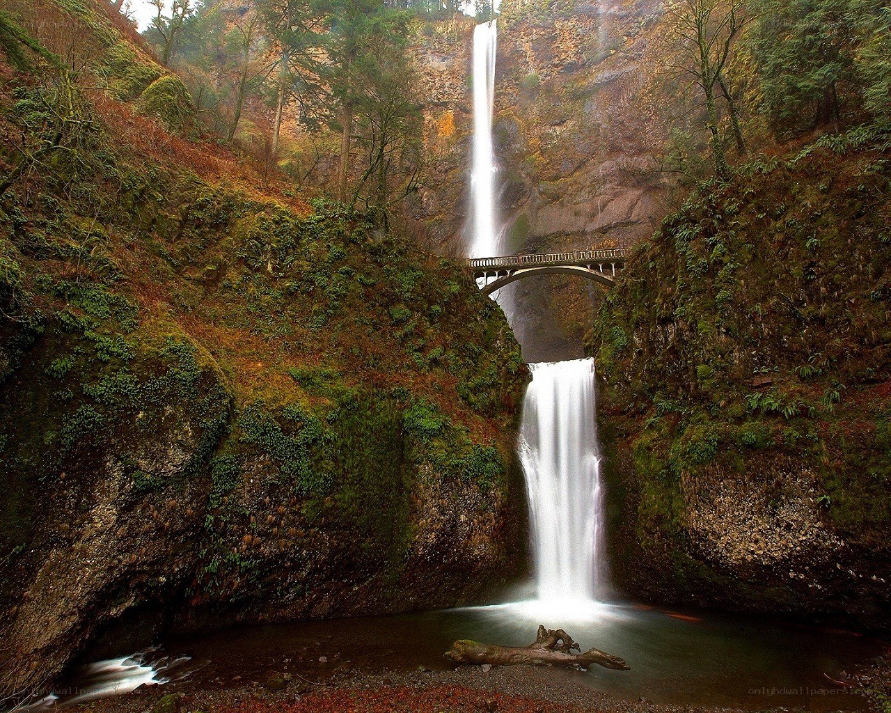 Waterfall with bridge in forest