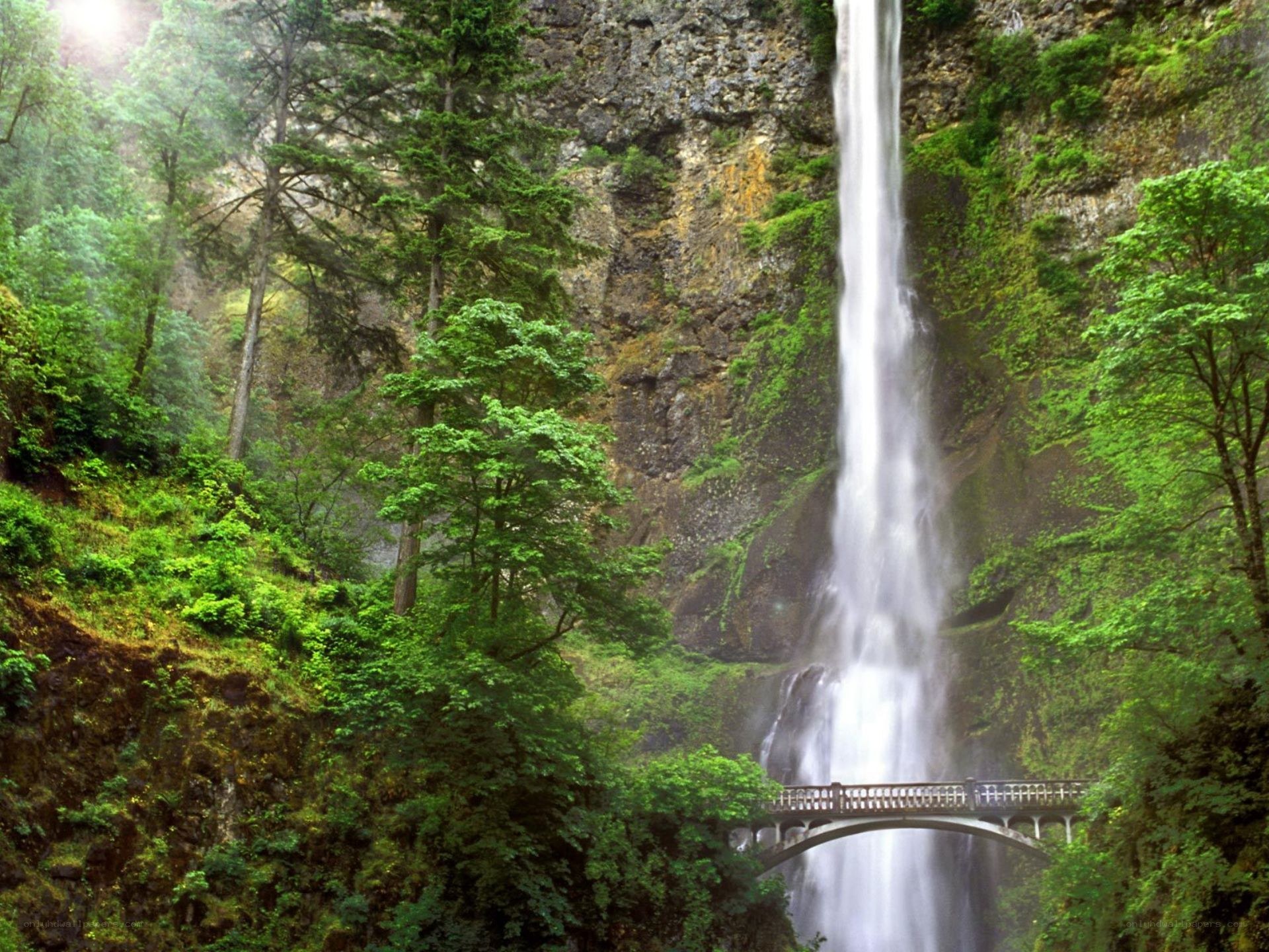 Waterfall with bridge in forest