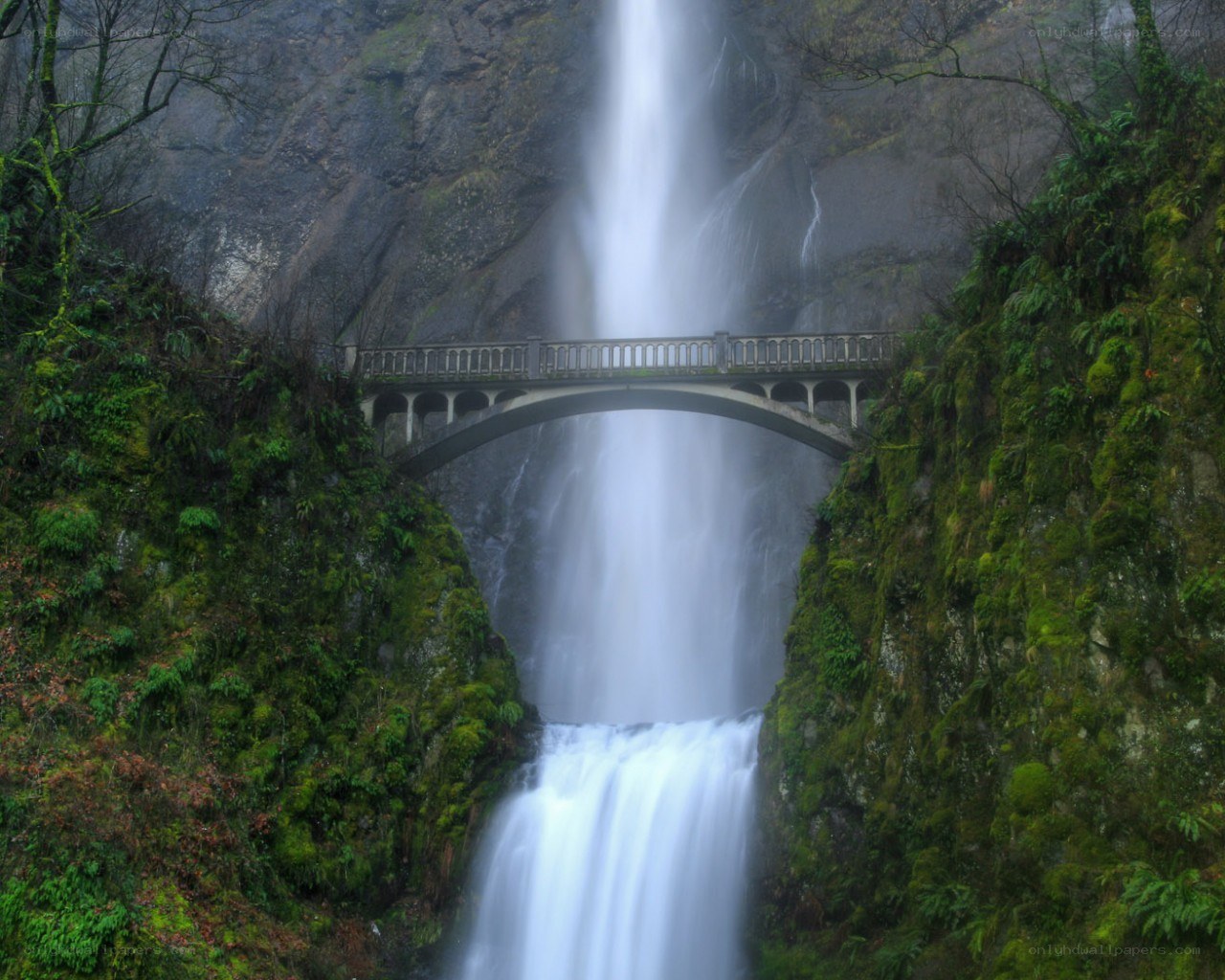 Waterfall with bridge in forest