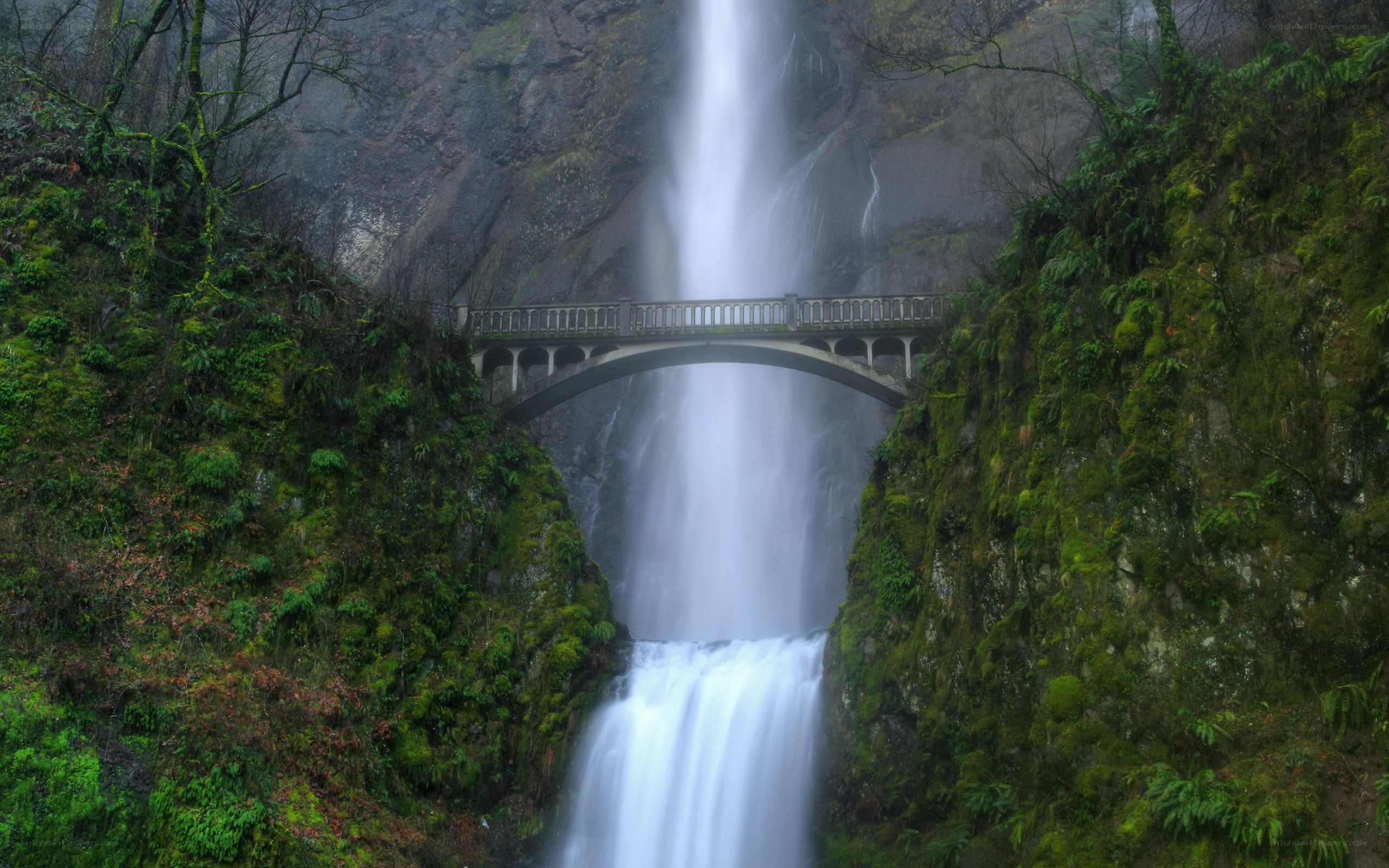 Waterfall with bridge in forest