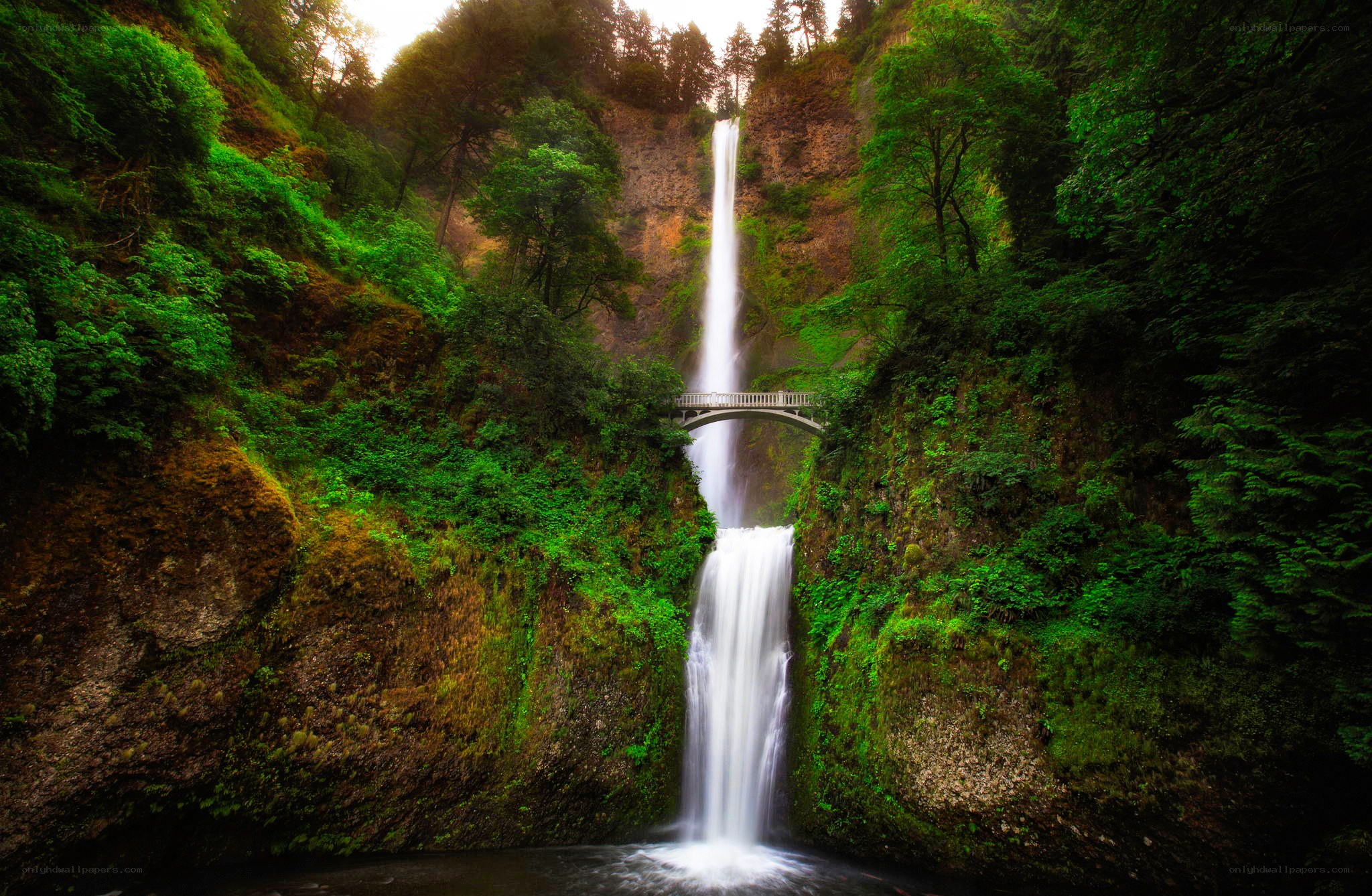 Waterfall with bridge in forest