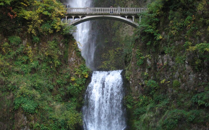 Waterfall with bridge in forest