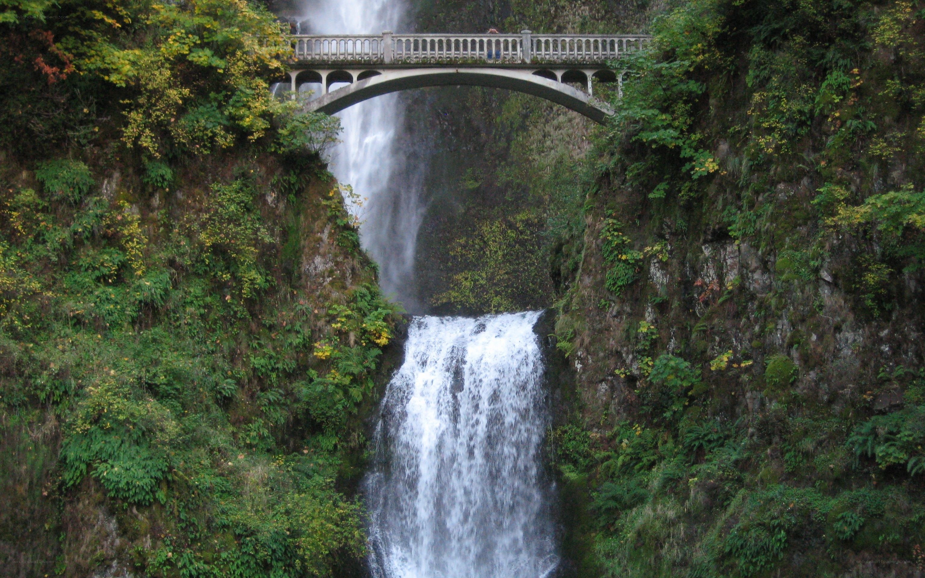 Waterfall with bridge in forest