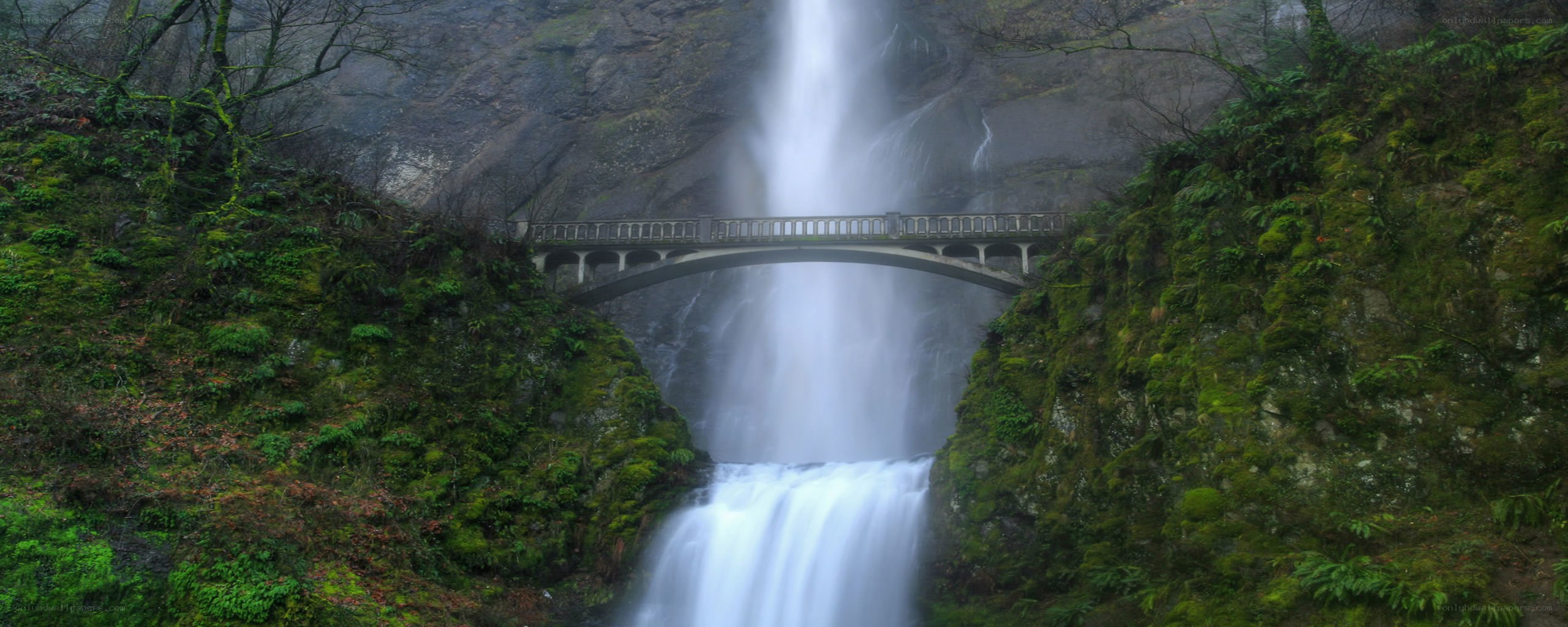 Waterfall with bridge in forest