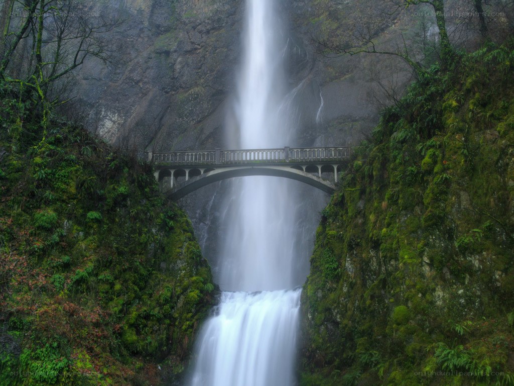 Waterfall with bridge in forest