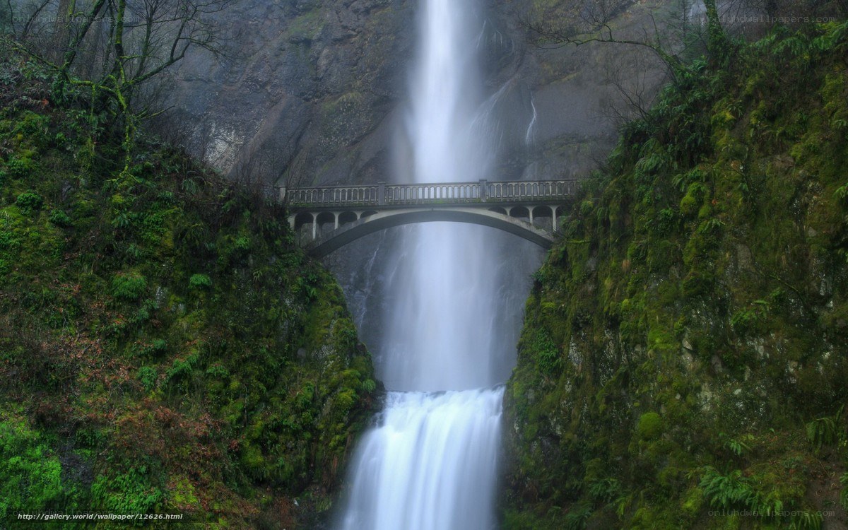 Waterfall with bridge in forest