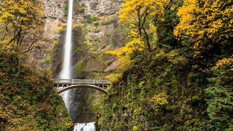 Waterfall with Bridge — Yellow, Serene