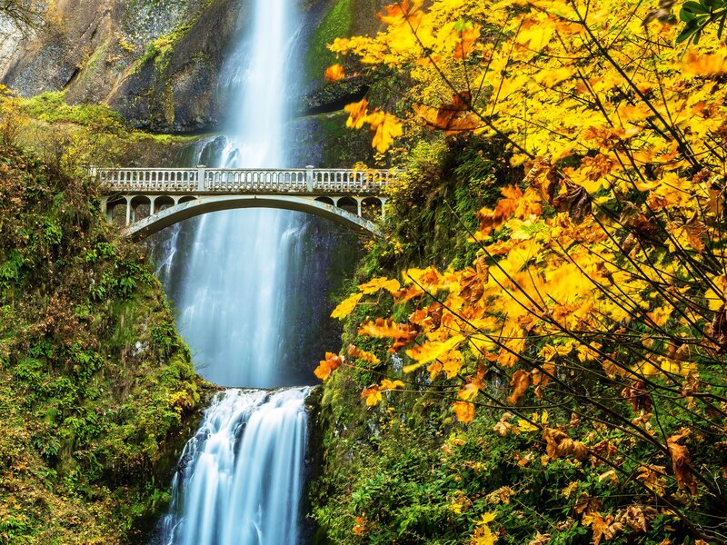 Waterfall with Bridge — Yellow