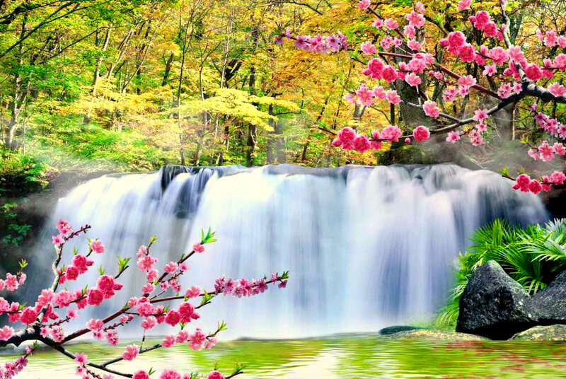 Waterfall with Cherry Blossoms