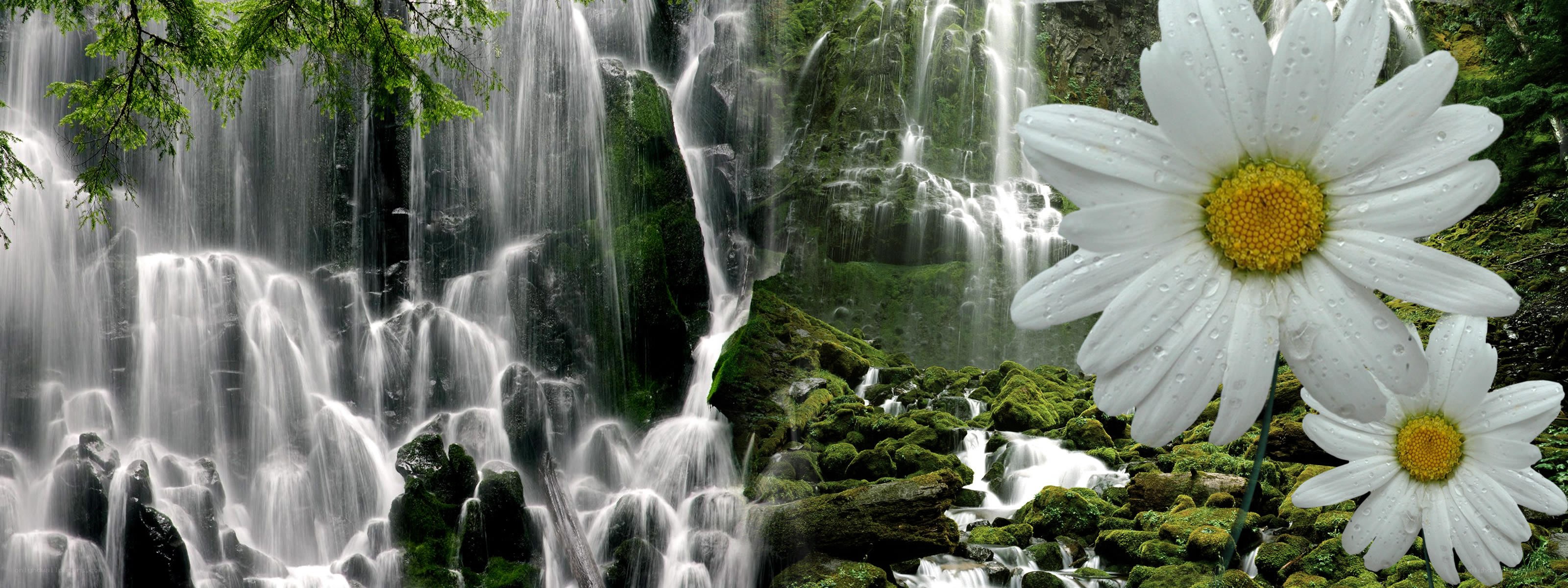 Waterfall with daisies