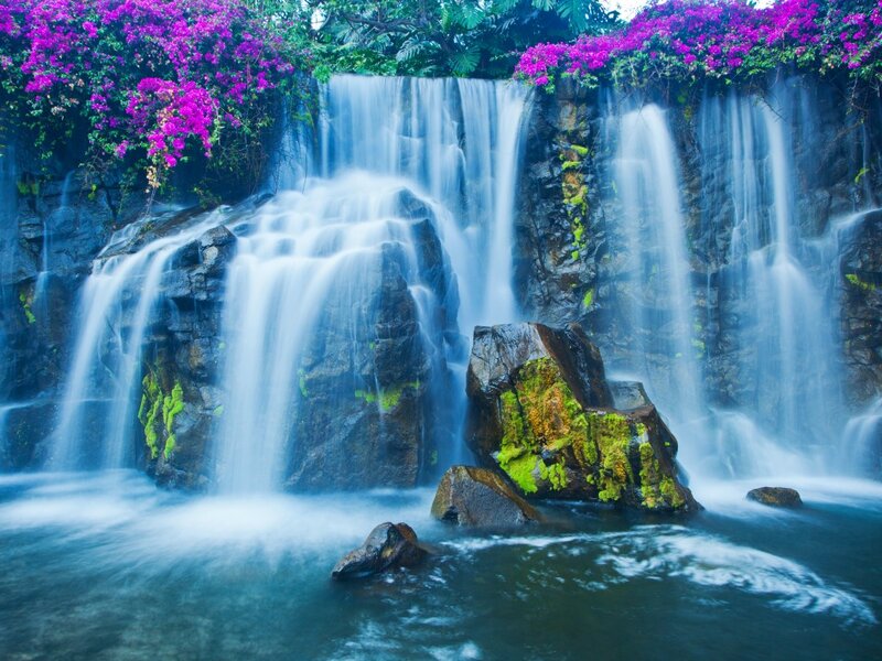 Waterfall with Flowers — Blue
