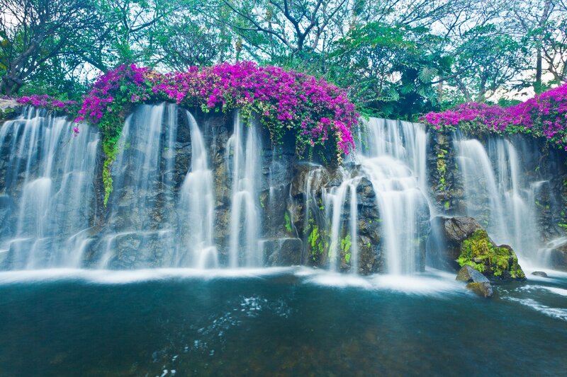 Waterfall with Flowers — Purple
