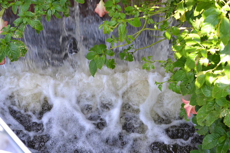 Waterfall with Green Plants