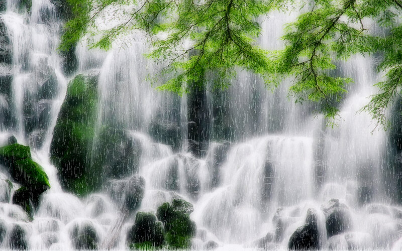 Waterfall with Green Trees