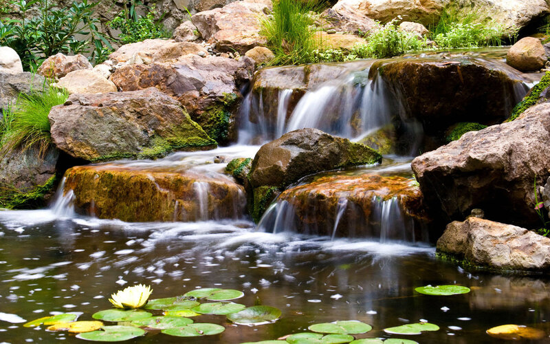 Waterfall with Lily Pads — Green