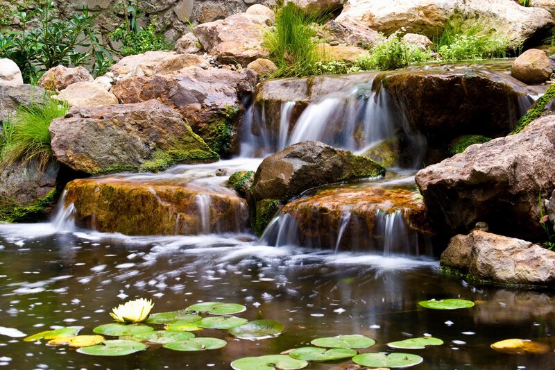 Waterfall with lily pads