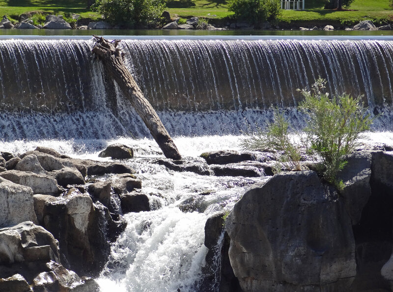 Waterfall with Log