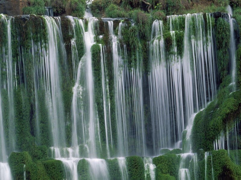 Waterfall with Moss