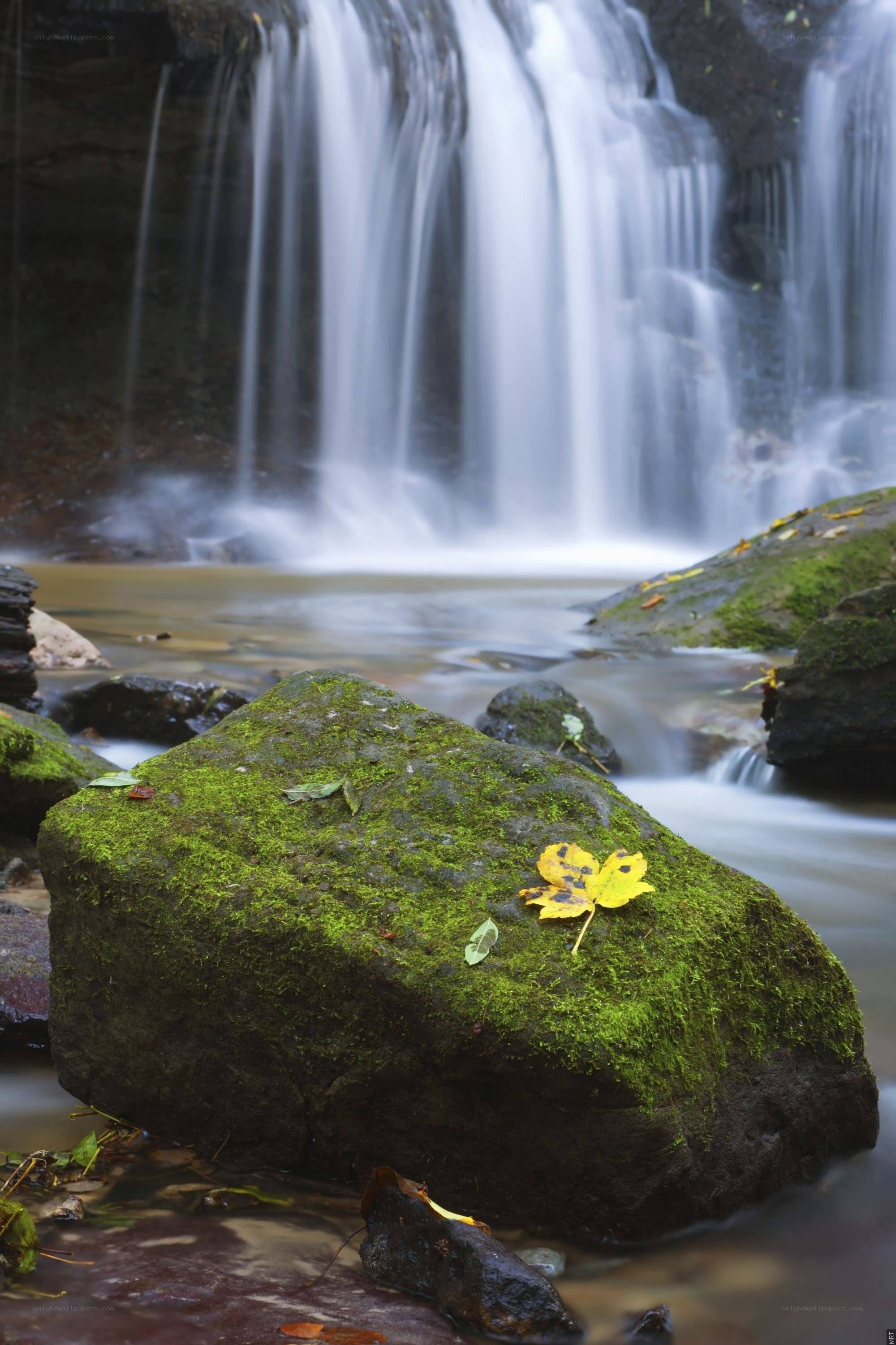 Waterfall with mossy rock