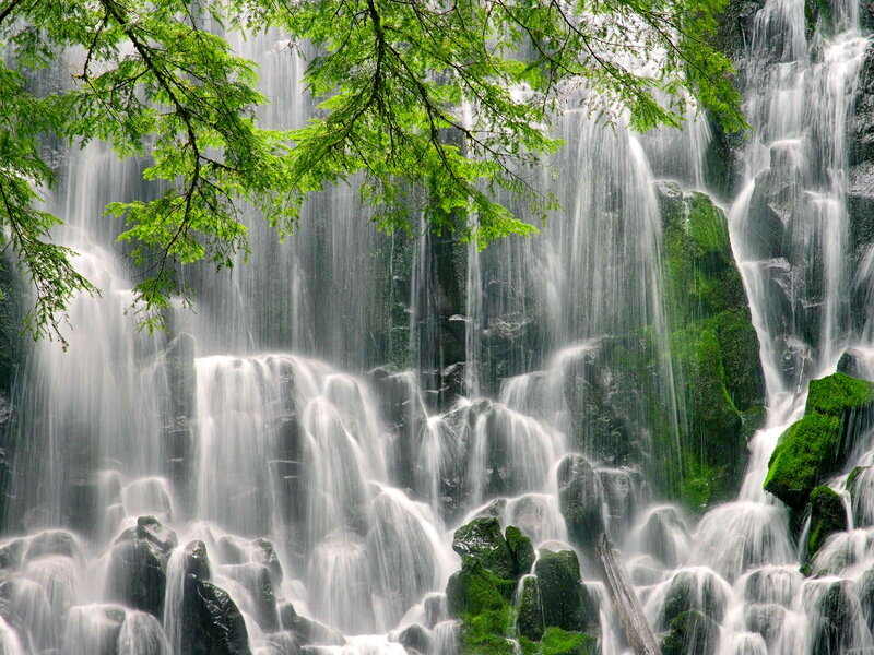 Waterfall with Mossy Rocks — Green, Serene, Photograph