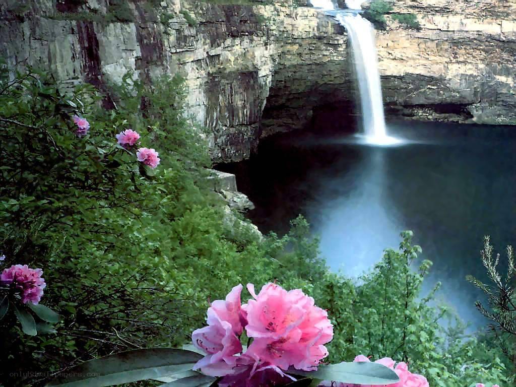 Waterfall with pink flowers