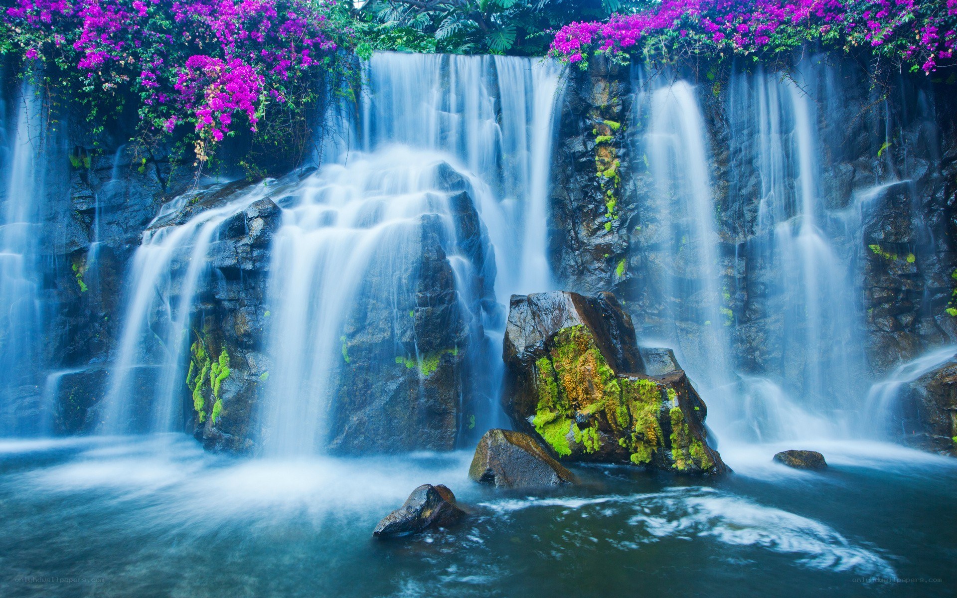 Waterfall with purple flowers
