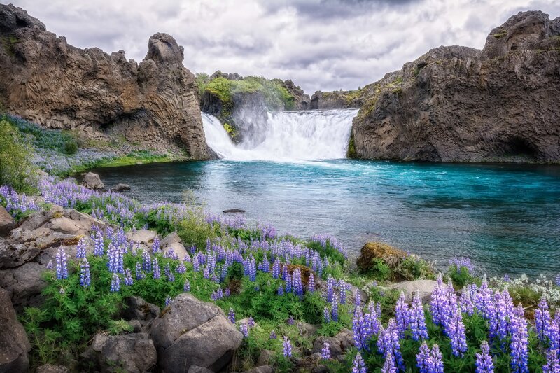 Waterfall with Purple Flowers — Blue, Serene, Summer