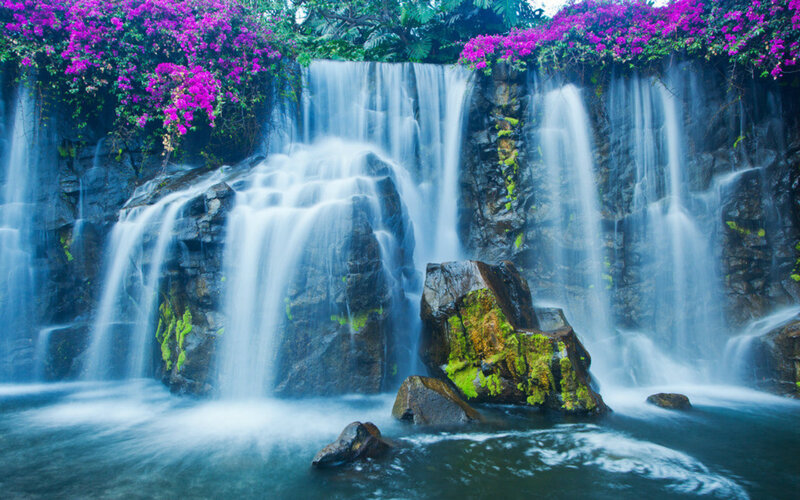 Waterfall with Purple Flowers — Blue, Serene