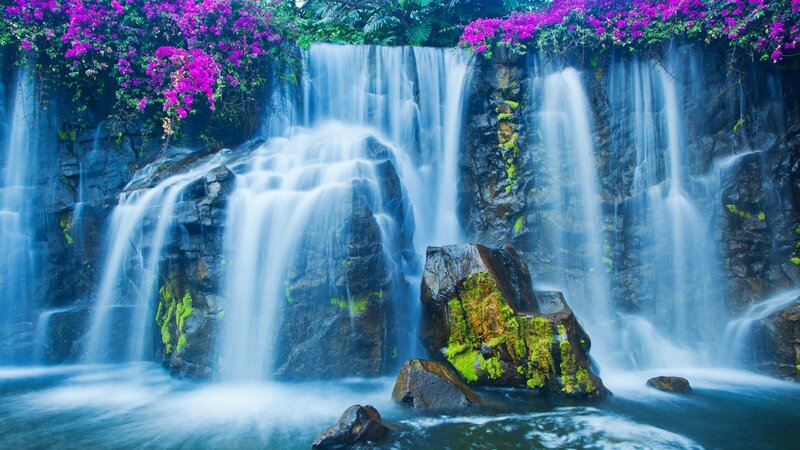 Waterfall with Purple Flowers — Blue