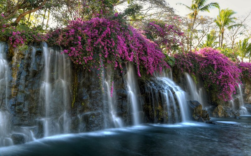 Waterfall with Purple Flowers — Serene, Afternoon