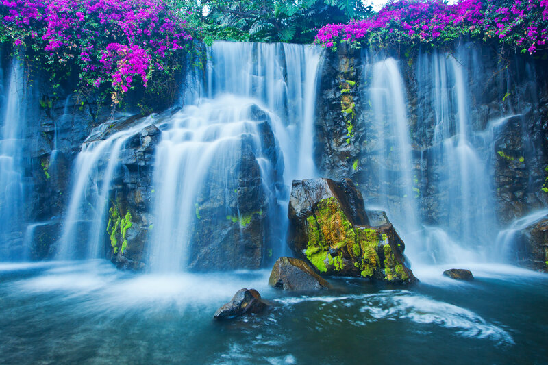 Waterfall with Purple Flowers — Serene