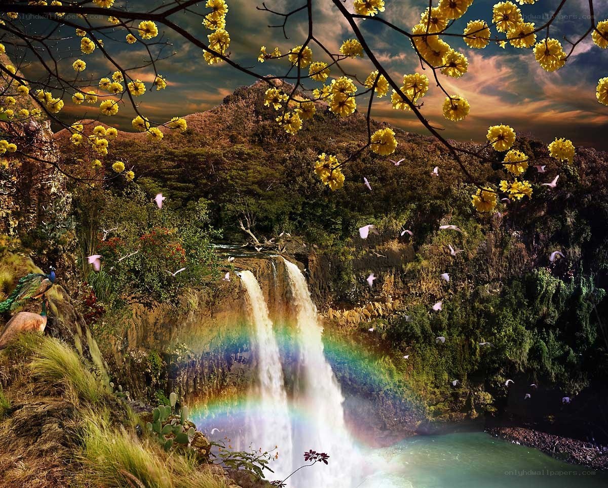 Waterfall with rainbow and yellow flowers