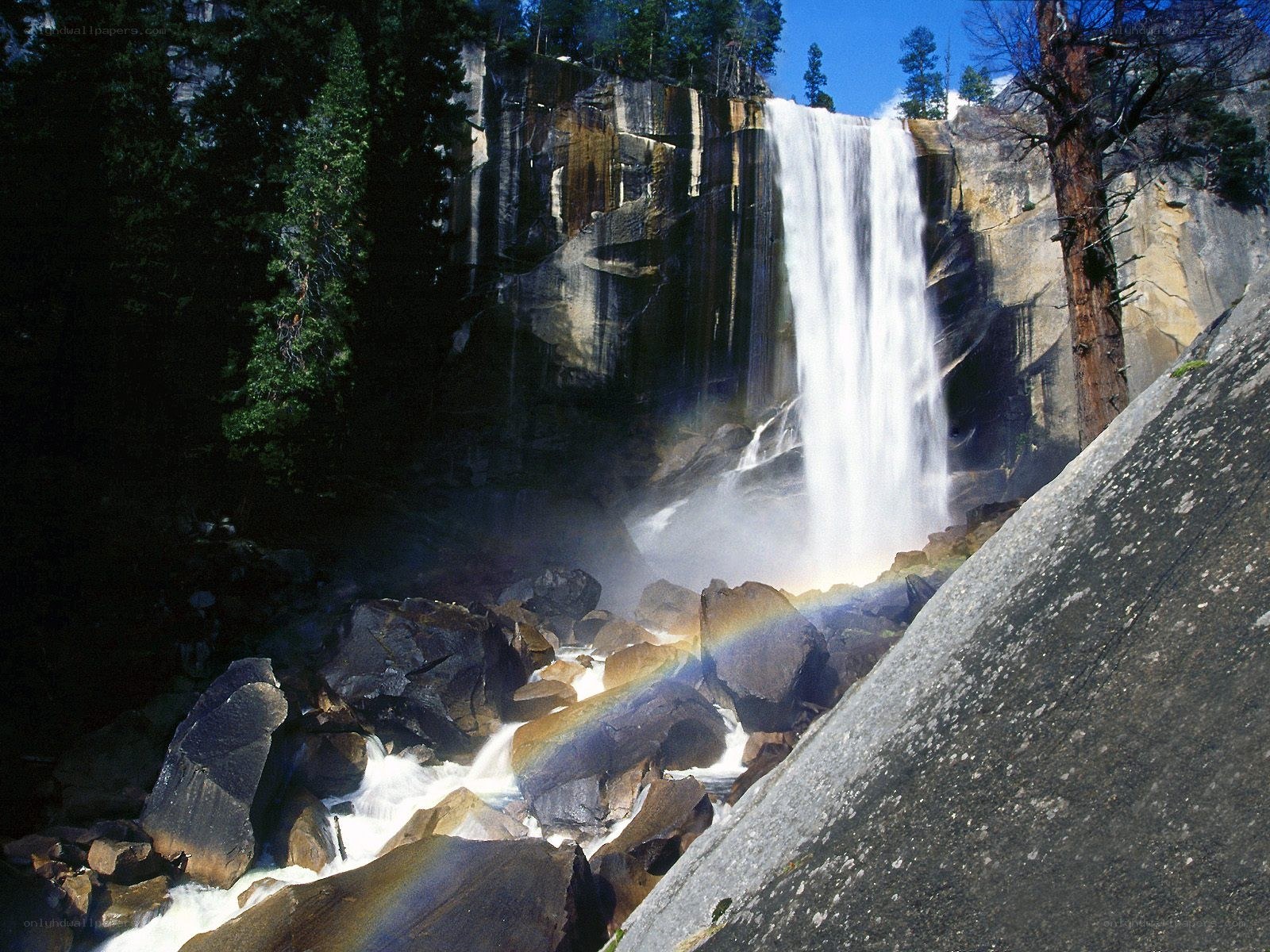 Waterfall with rainbow in forest