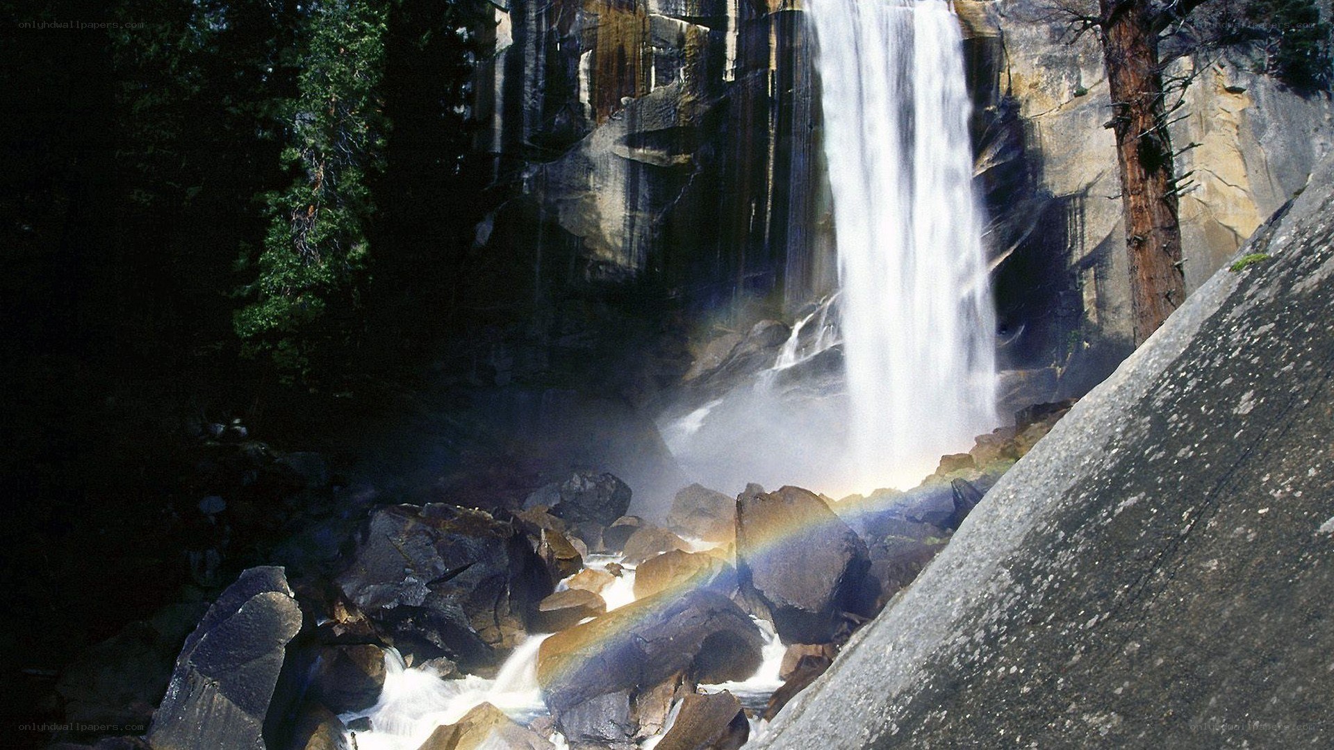 Waterfall with rainbow in forest