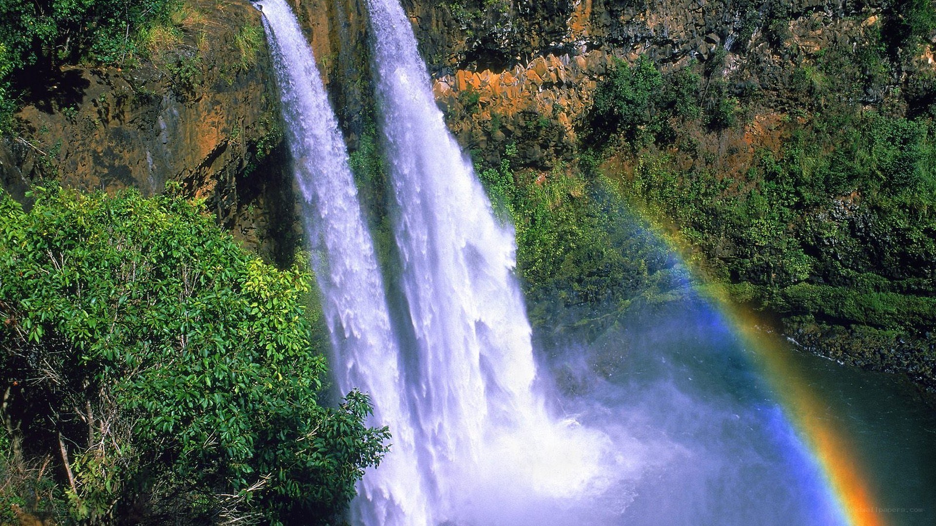 Waterfall with rainbow in forest