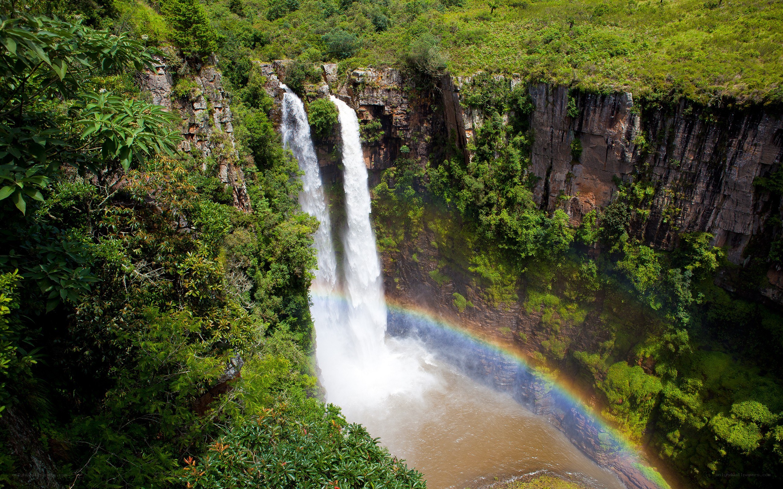 Waterfall with rainbow in forest