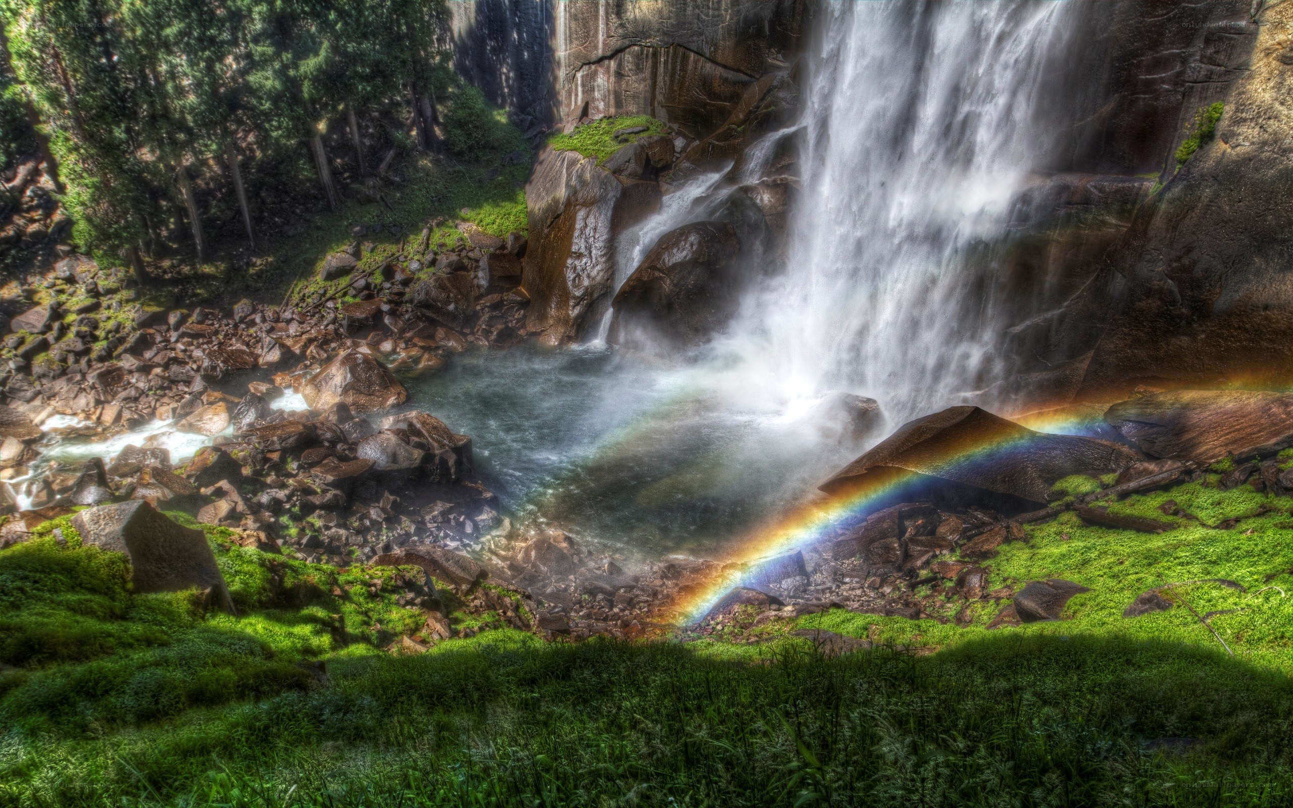 Waterfall with rainbow in forest