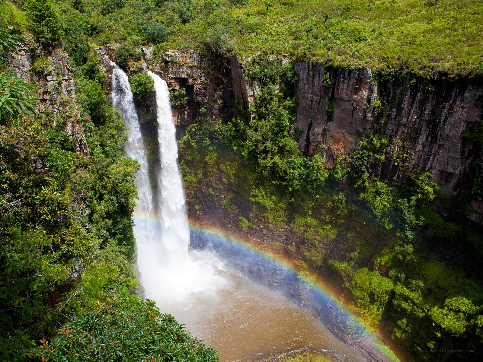 Waterfall with rainbow in forest